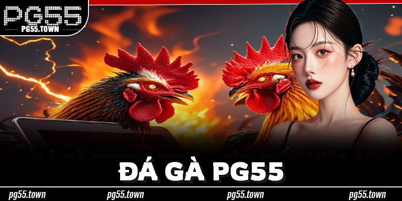Theo Dõi Đá Gà PG55 – Phân Biệt Hình Thức Và Kiểm Tra Thông Tin