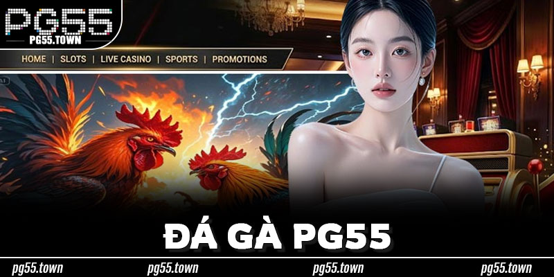 Không Chỉ Có Cựa Sắt – Nhận Diện Những Hình Thức Đá Gà Phổ Biến